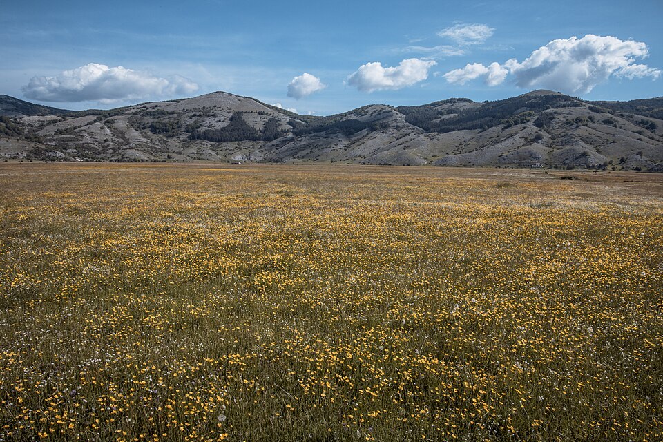 Prati fioriti sull’Altopiano di Rascino, circondati dai monti.